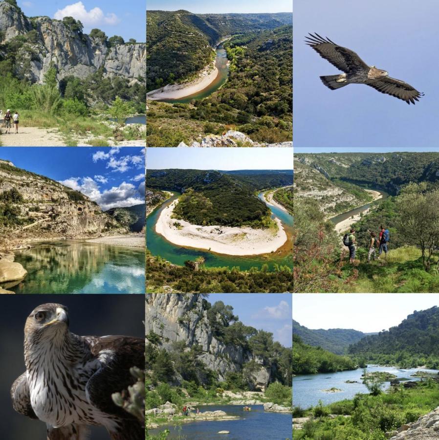 Le Cherche Midi, Entre Nimes, Le Pont Du Gard, Uzes, Arles Маргеритт Екстер'єр фото