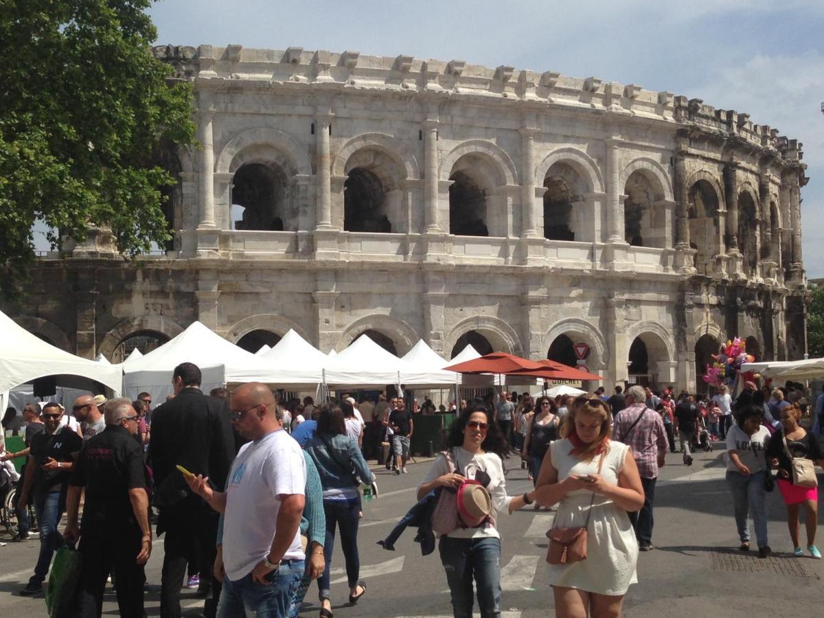 Le Cherche Midi, Entre Nimes, Le Pont Du Gard, Uzes, Arles Маргеритт Екстер'єр фото